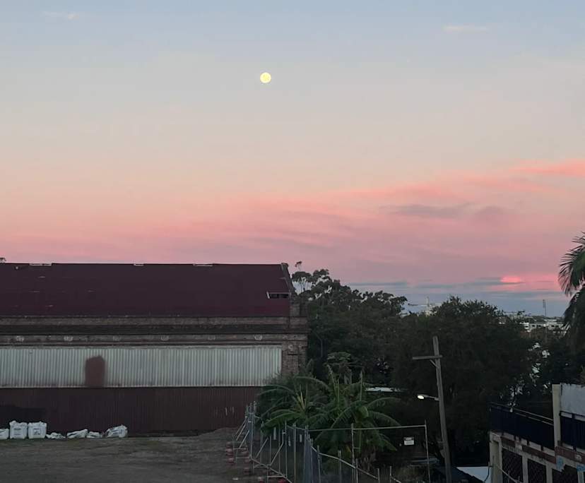 Sara (37), $350, Non-smoker, No pets, and No children