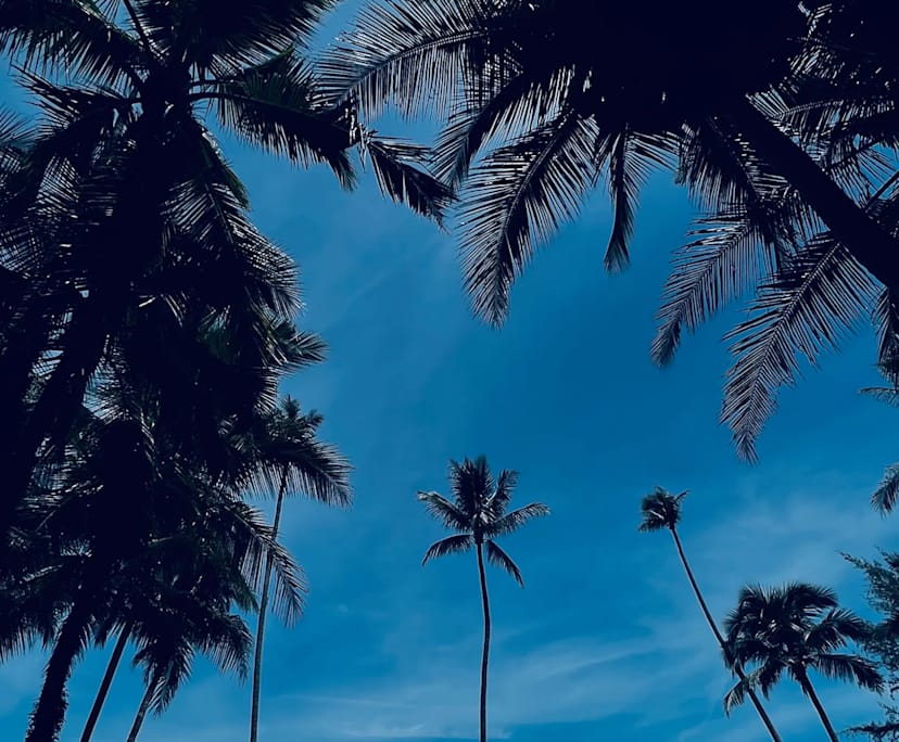 Hetshri (32) and Saurabh (32), $450, 