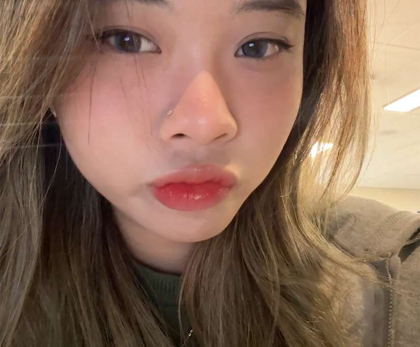 Ngoc Quynh Anh (22) and Tieu Bang Nguyen (20), $300, Non-smoker, Have pets, and No children
