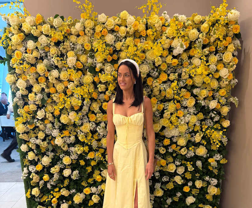 Emily (36), $300, Non-smoker, Have pets, and No children