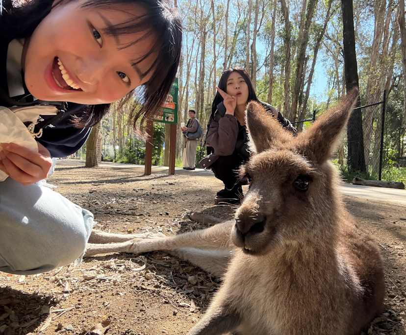 JOOA & Doeon