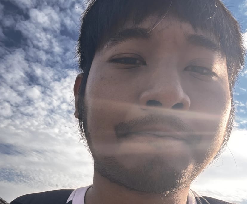 Ye Gaung Kyaw (28), $350, Non-smoker, No pets, and No children