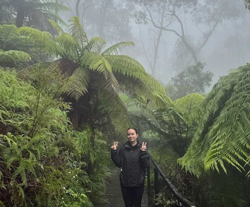 Annaelle (29) and Gwenaelle (23), $400, Non-smoker, Have pets, and No children