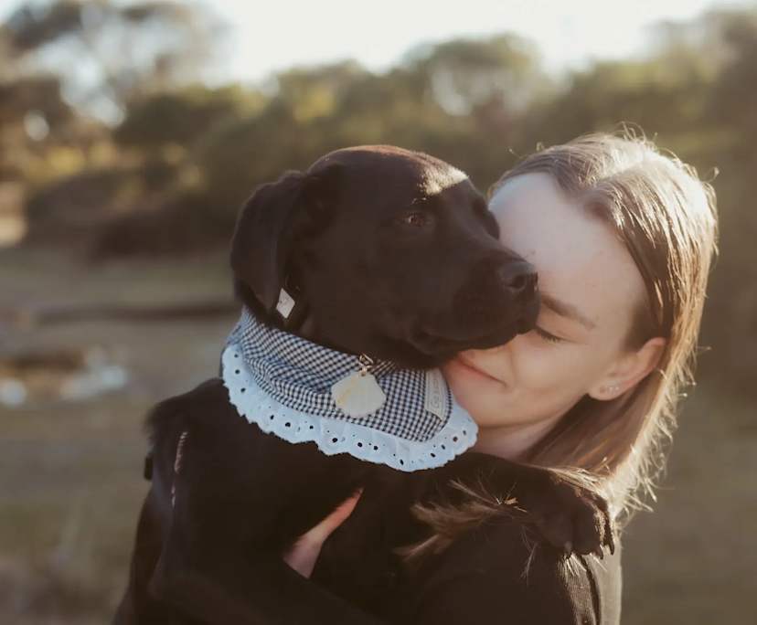 Erica (20), $250, Non-smoker, Have pets, and No children