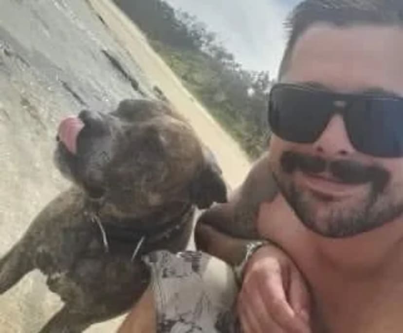 Ben (36), $300, Non-smoker, Have pets, and No children