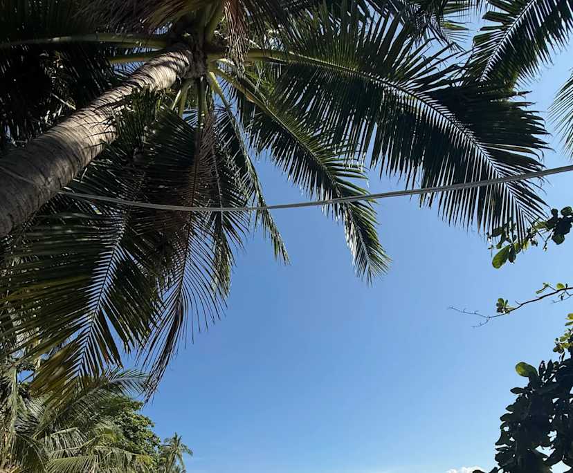 Kris (32), $450, Non-smoker, No pets, and No children