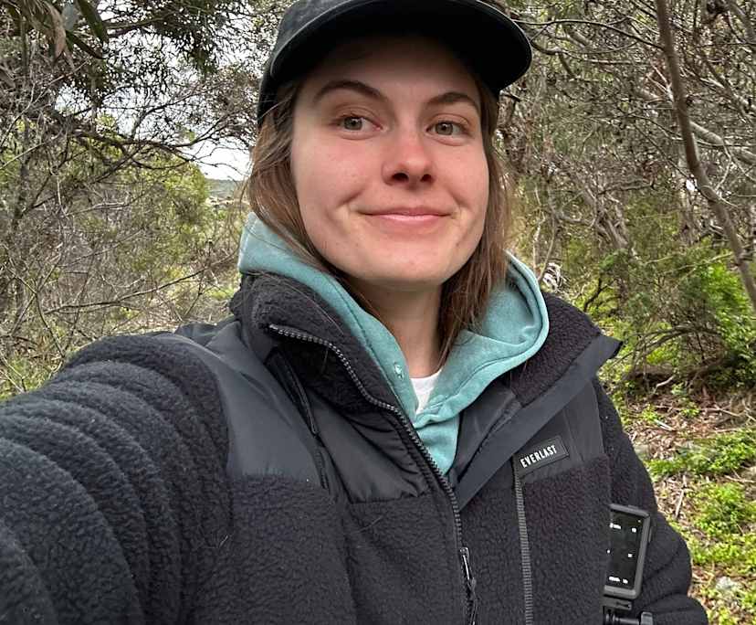 Aims (26), $250, Non-smoker, No pets, No children, and LGBTQIA+