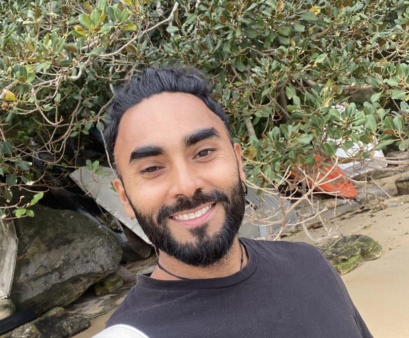 Satvir (31), $600, Non-smoker, No pets, and No children