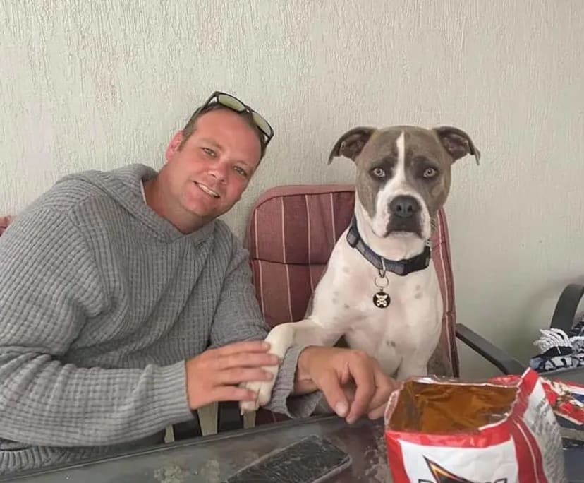Michael (41), $300, Non-smoker, Have pets, and No children