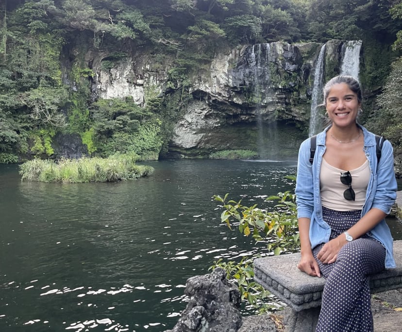 Nefi (35), $380, No pets, Non-smoker, and No children