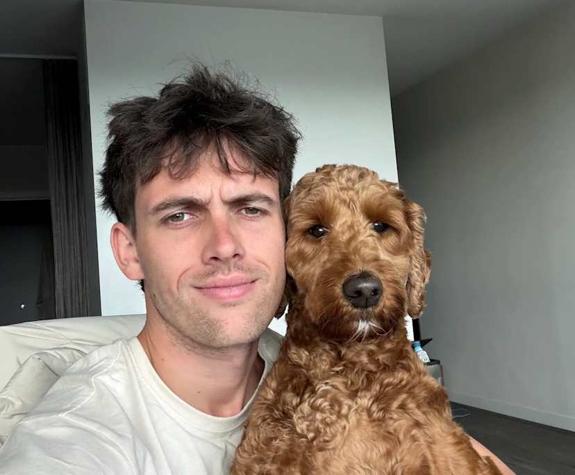 Alex (26), $480, Non-smoker, Have pets, and No children