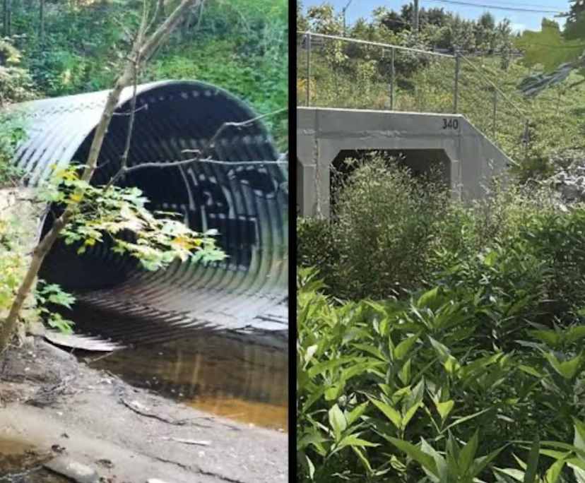 Adrian (33), $350, Have children, Non-smoker, and No pets