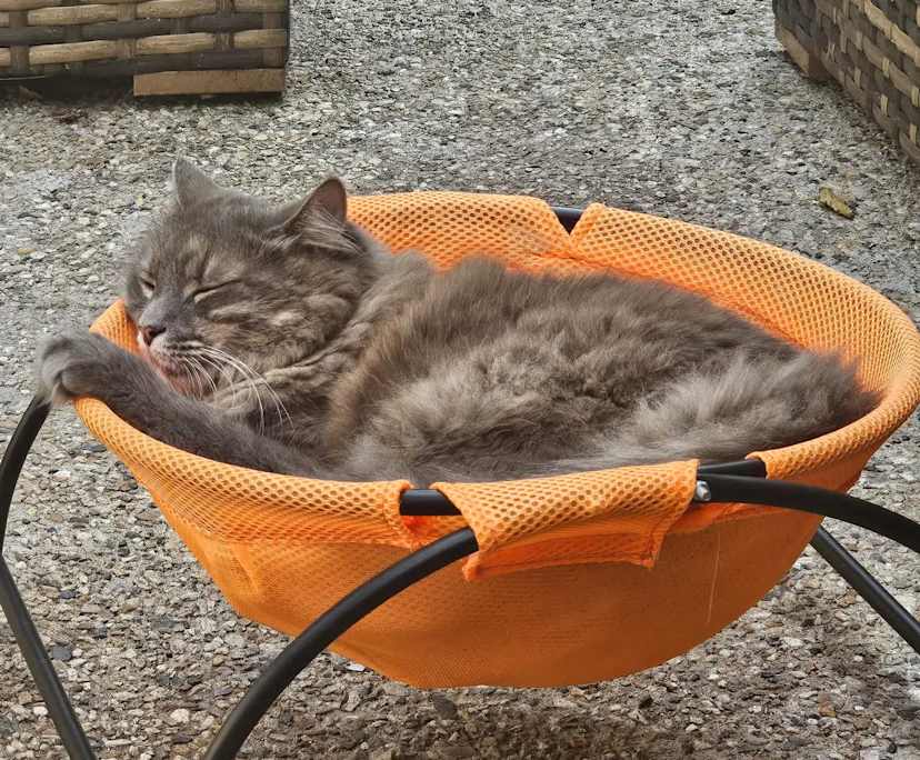 Kerry (53) and Paula (69), $280, Non-smoker, No pets, and No children