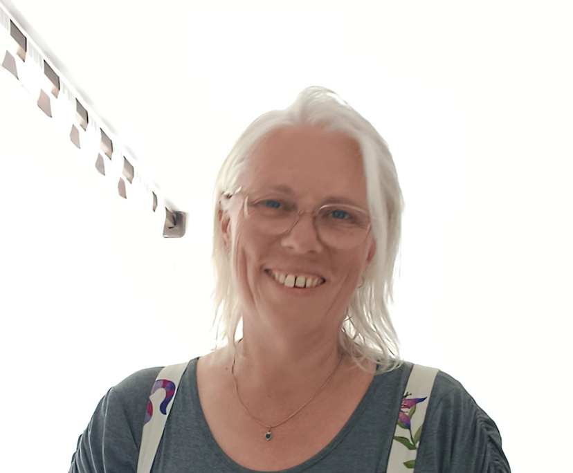 Nikki (51), $250, No children, Non-smoker, and No pets