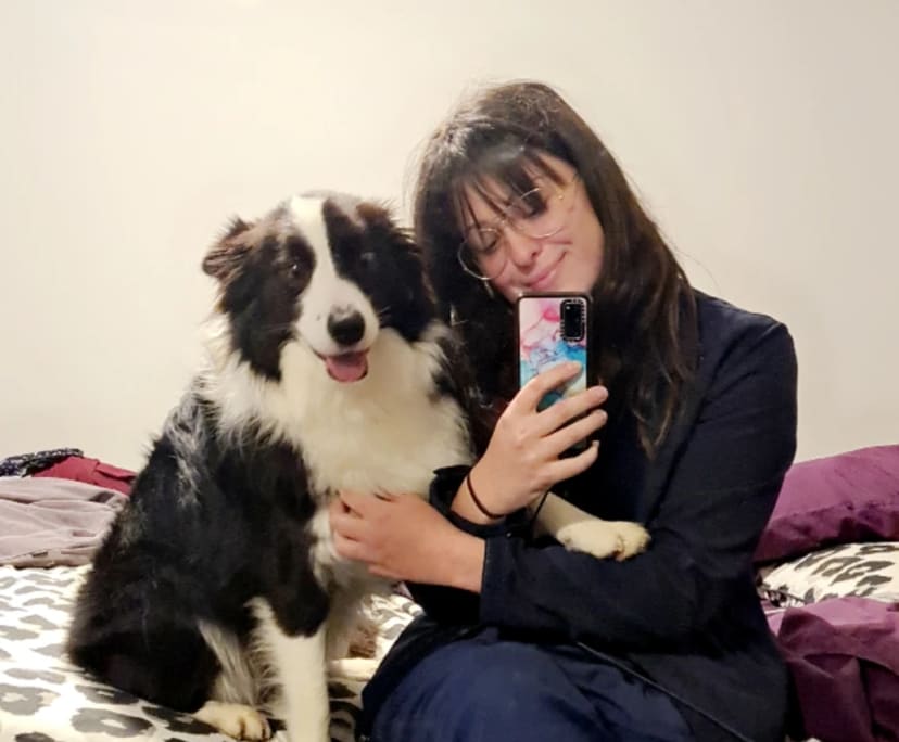 Stephanie (31), $450, Non-smoker, Have pets, and No children