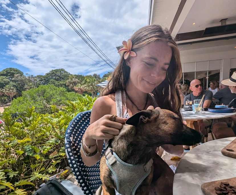 Charlotte (25), $400, Non-smoker, Have pets, and No children