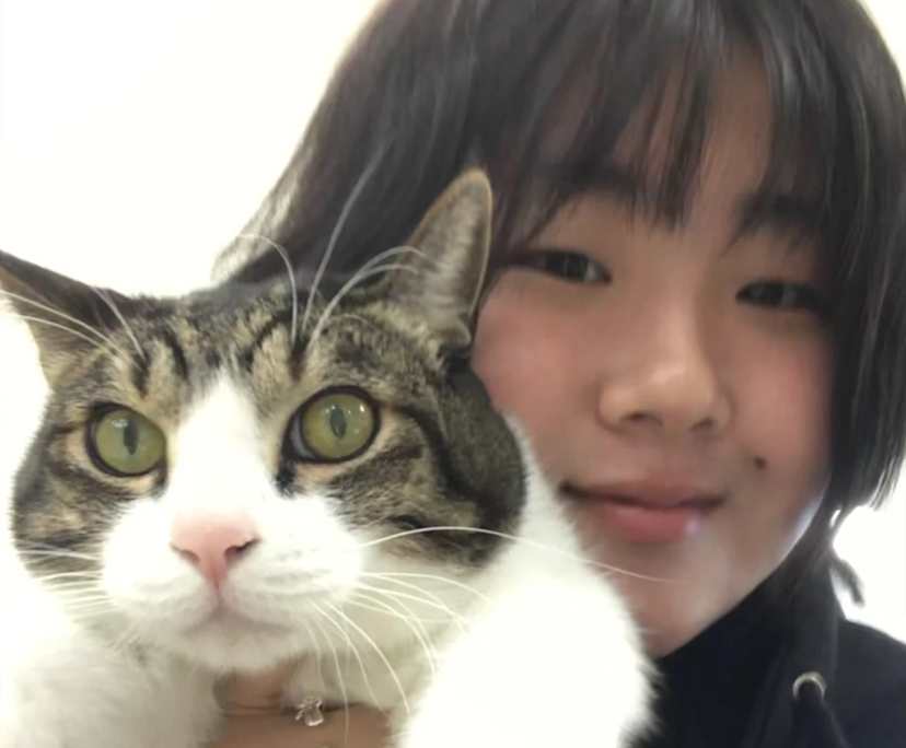 jeong a (25), $250, No pets, Non-smoker, and No children