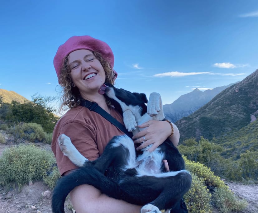 Erin (30), $250, Have pets, Non-smoker, and No children