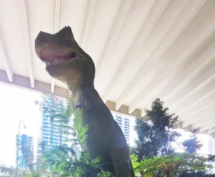 Tania (37), $250, Non-smoker, No pets, and No children