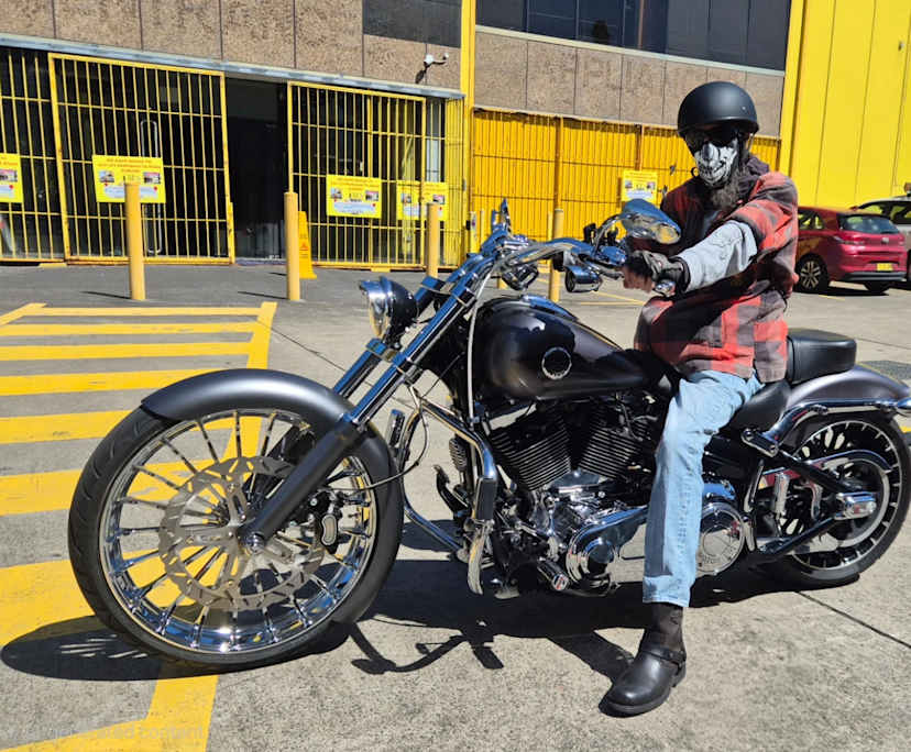 Gav (52), $500, Non-smoker, Have pets, and No children