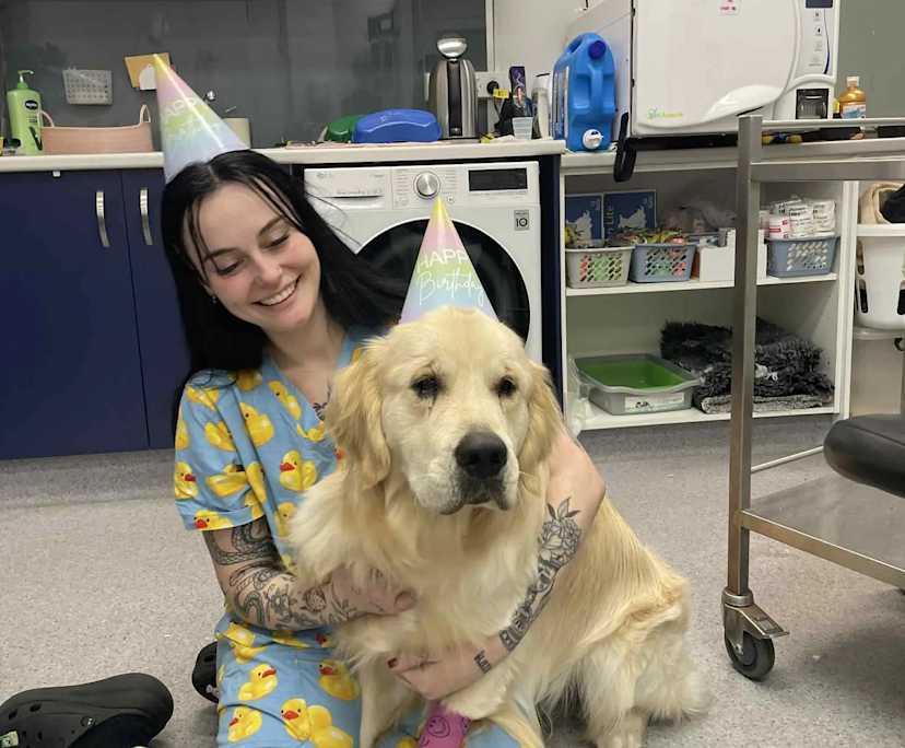 Chloe (23), $280, Non-smoker, Have pets, and No children