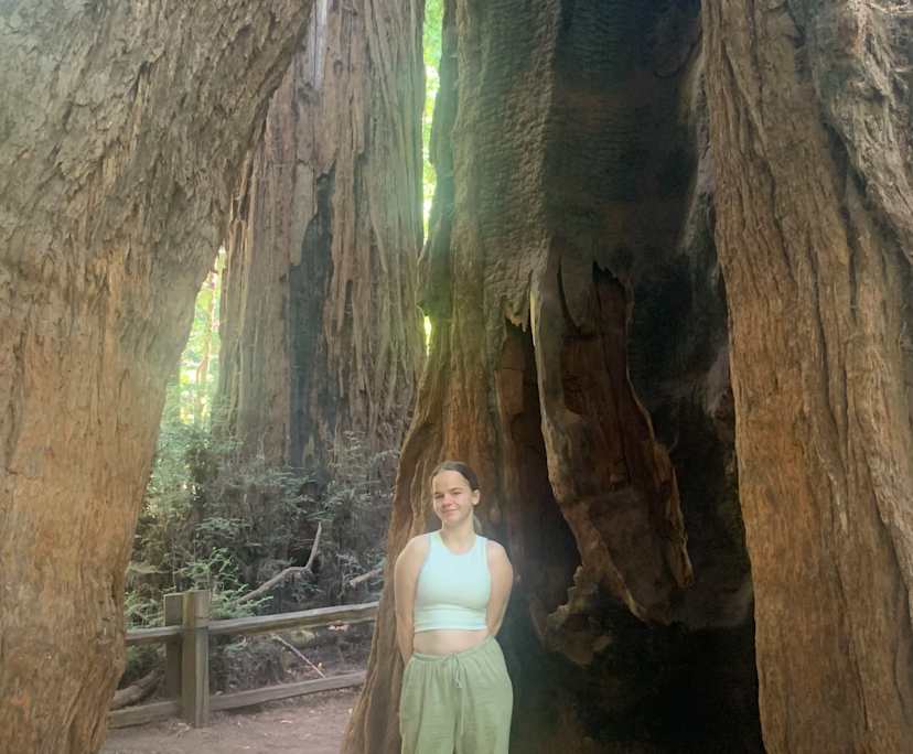 Brooke (20), $300, Non-smoker, No pets, and No children