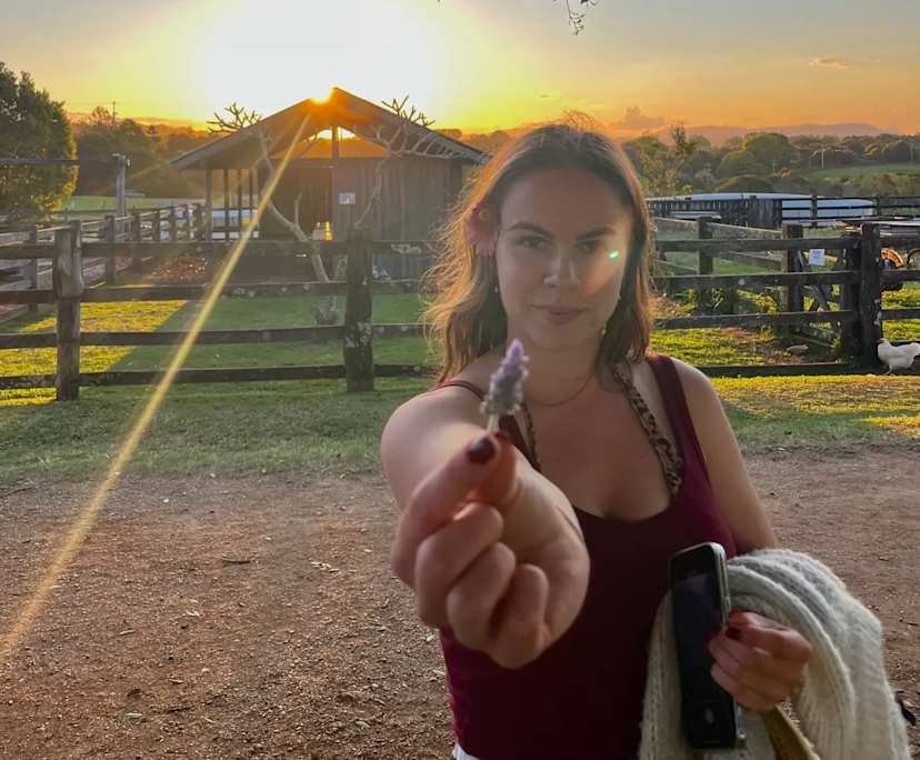 Raqual (25), $310, Non-smoker, No pets, and No children