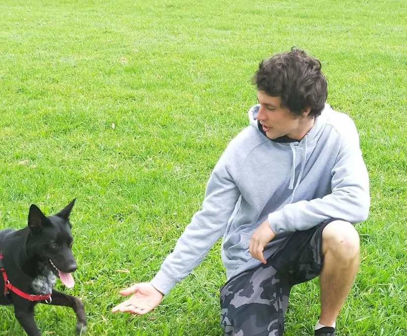 Luka (31), $350, Non-smoker, Have pets, and No children