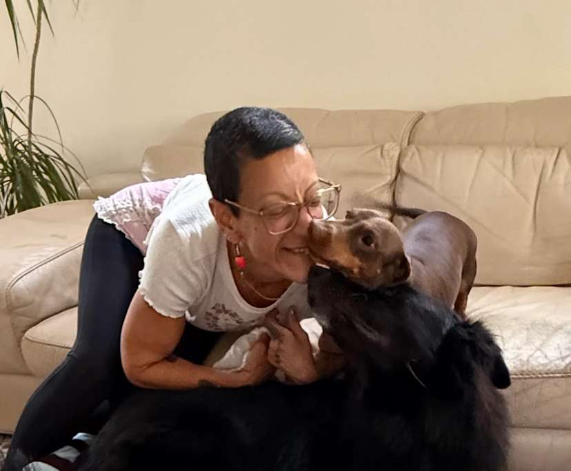 Carmela (50), $250, Non-smoker, Have pets, and No children
