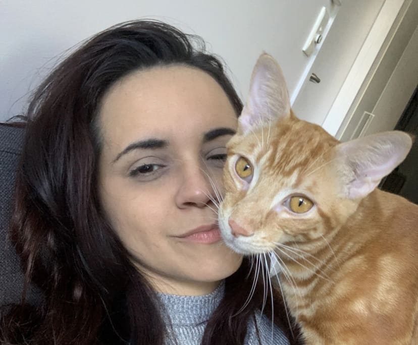 Thais (34), $380, Non-smoker, Have pets, and No children