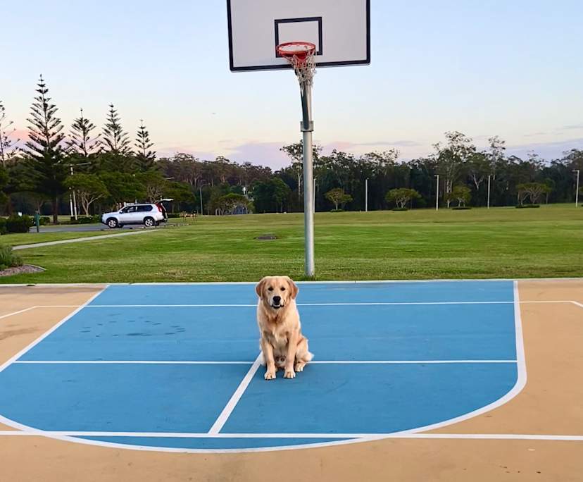 Jed (29), $270, Non-smoker, Have pets, and No children