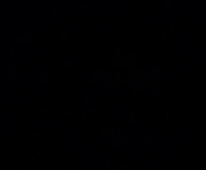 Bilal Ahmad (24), $230, No pets, LGBTQIA+, Non-smoker, and No children