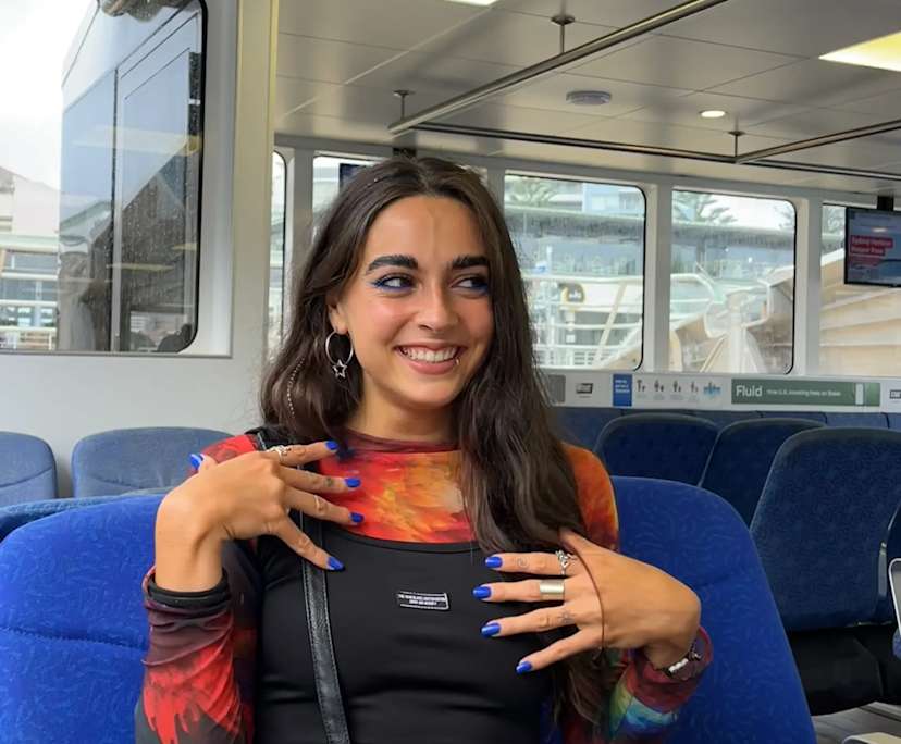 Lucia (25), $380, Non-smoker, No pets, and No children