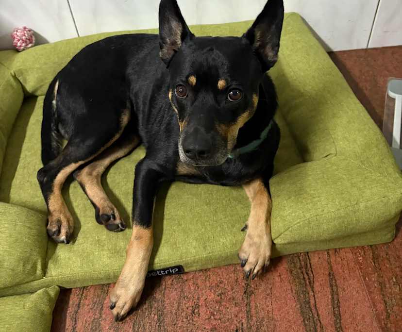 MJ (31) and Cara (31), $150, 