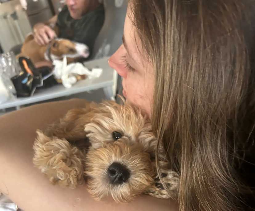 Issy (27), $200, Have pets, Non-smoker, and No children