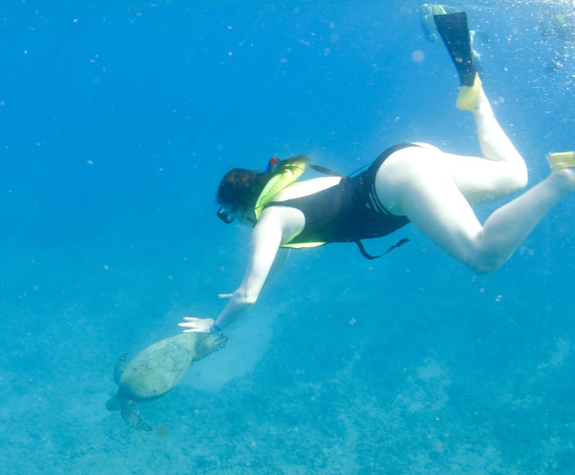 Charity Dallow (24), $350, 