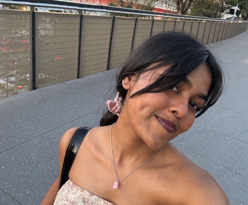Meenakshi (24), $250, Non-smoker, No pets, and No children