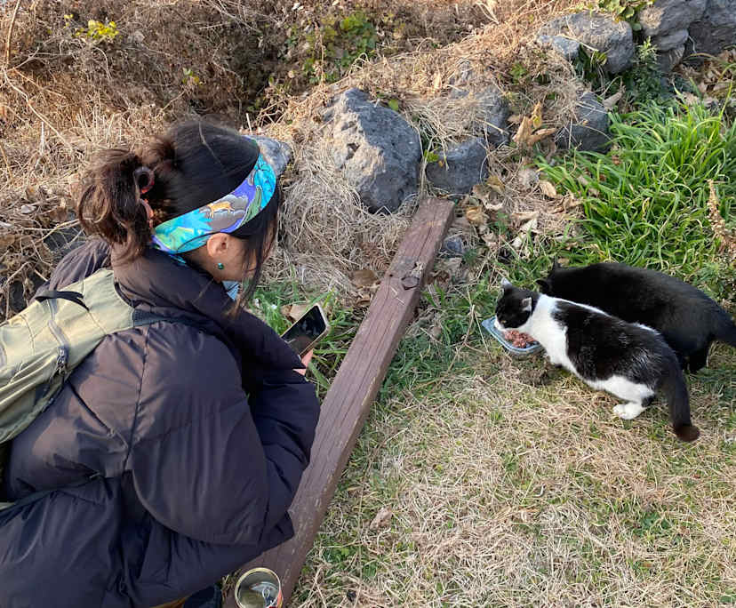 Alexandra (28), $300, LGBTQIA+, Non-smoker, No pets, and No children