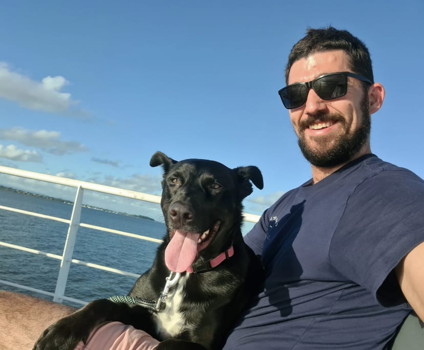 Tully (30), $350, Have pets, Non-smoker, and No children