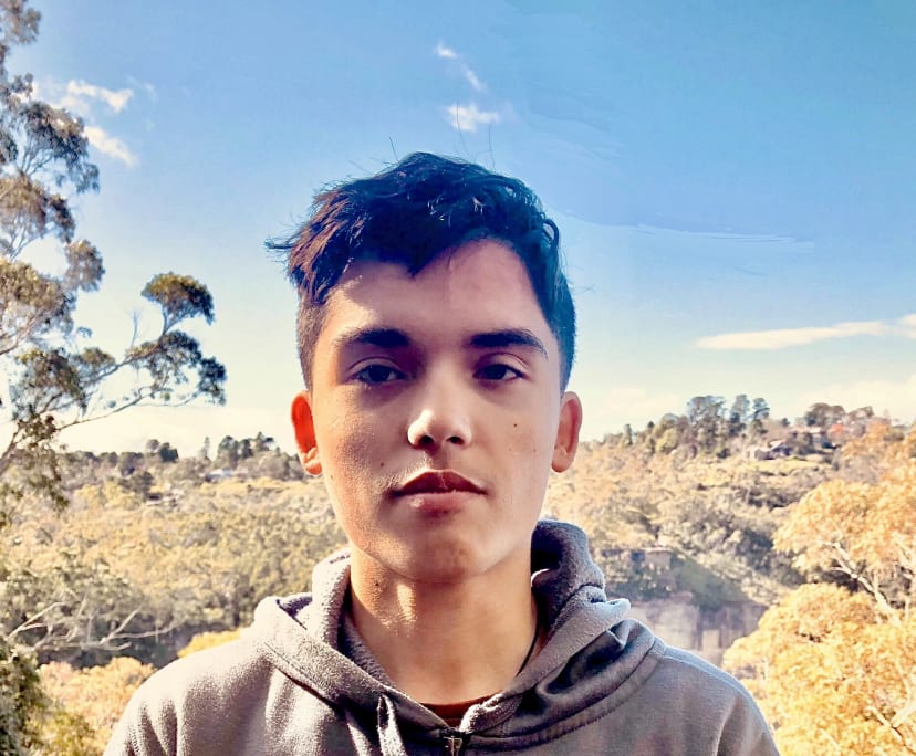 Luke (18), $250, Non-smoker, No pets, and No children