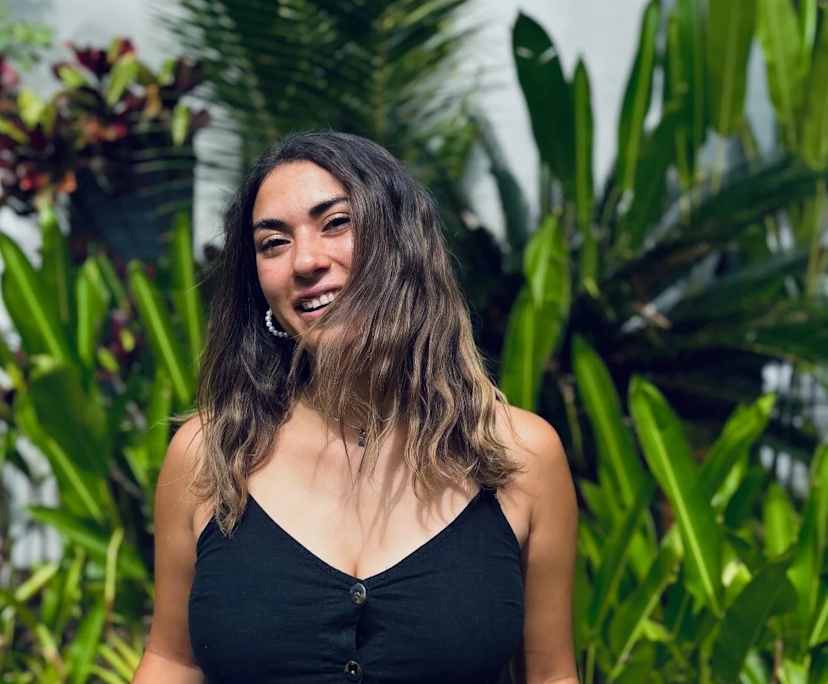 Mane (28), $280, No pets, Non-smoker, and No children