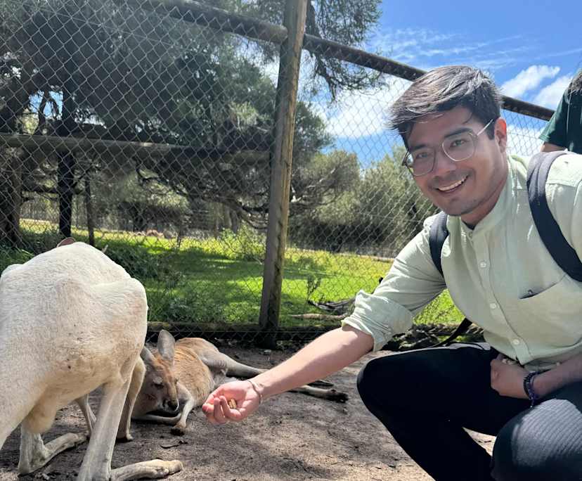 Alvaro (31), $250, Have pets, LGBTQIA+, Non-smoker, and No children