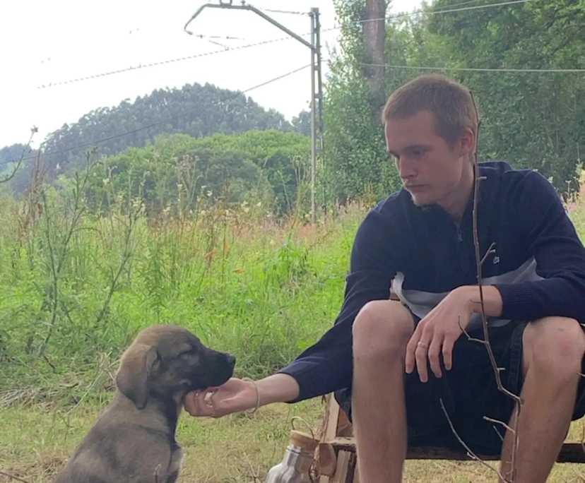 Per (19), $370, Non-smoker, No pets, and No children