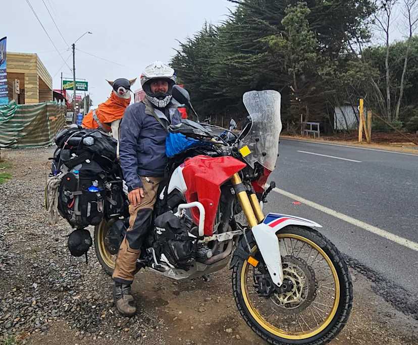 Gareth (35), $500, Non-smoker, Have pets, and No children