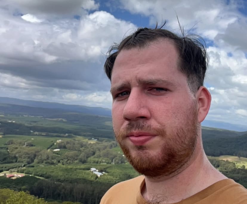 Josh (25), $300, No pets, Non-smoker, and No children