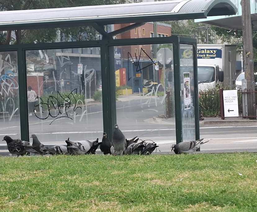 Lodi (19) and Yuri (19), $350, No pets, LGBTQIA+, Non-smoker, and No children