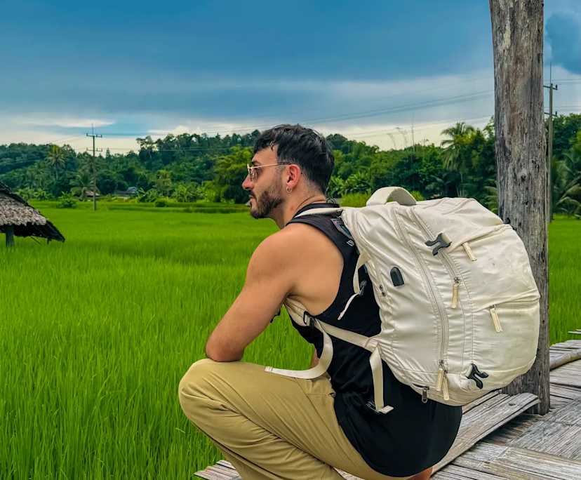 Roberto (30), $325, Non-smoker, No pets, and No children