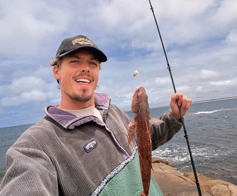 Ash (27), $350, Non-smoker, No pets, and No children