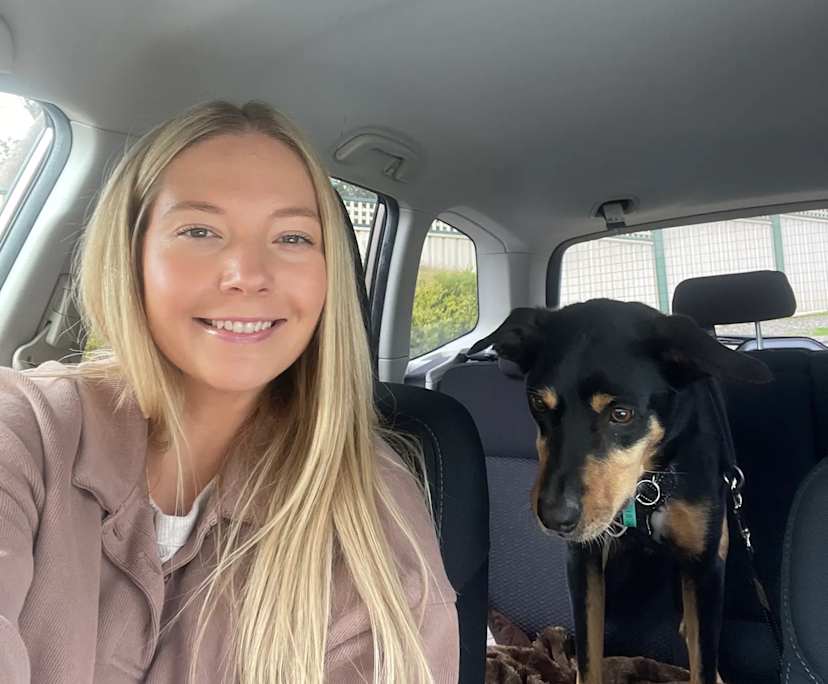 Liv (32), $300, No children and Non-smoker