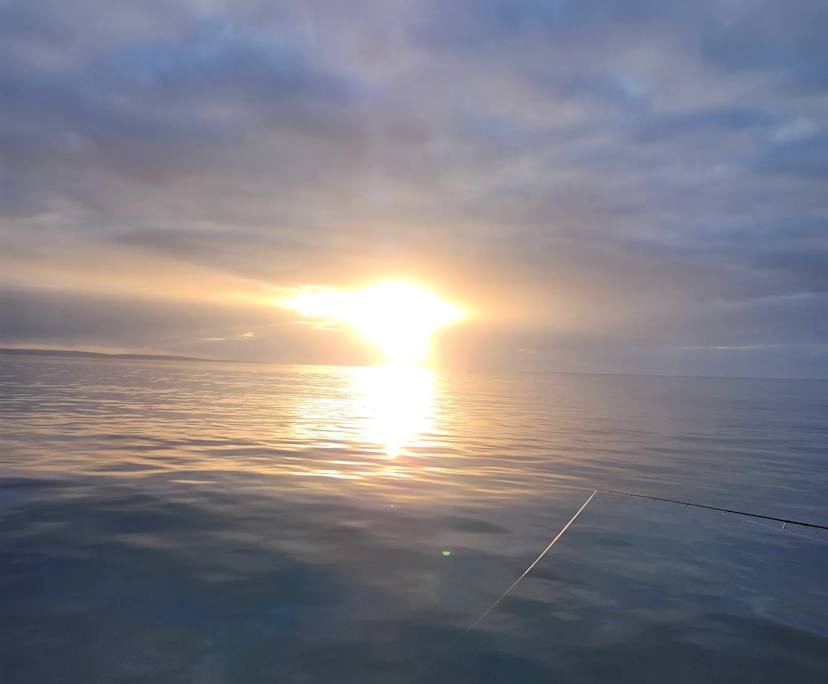 Debbie Turner (65), $150, Smoker, No pets, and No children